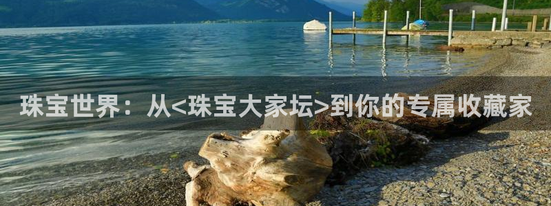 天宏娱乐老板朱俊伟