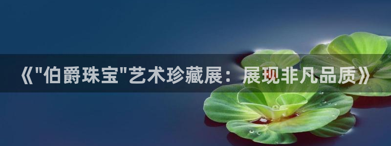 天宏娱乐app的下载：《\