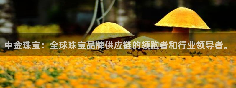 天宏娱乐抖音团播