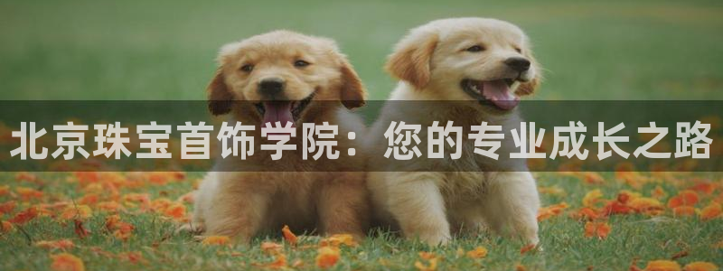 天宏娱乐韩叔视频