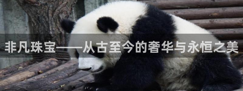 天宏娱乐m 判官