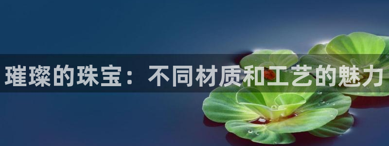 天宏娱乐提现不了