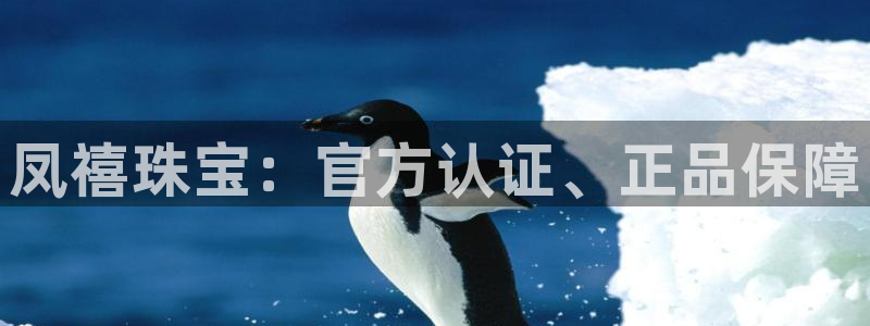 天宏娱乐老板朱俊伟