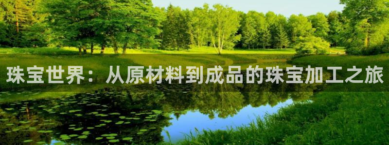 天宏 娱乐属于什么平台：珠宝世界：从原材料到成品的珠宝加工之
