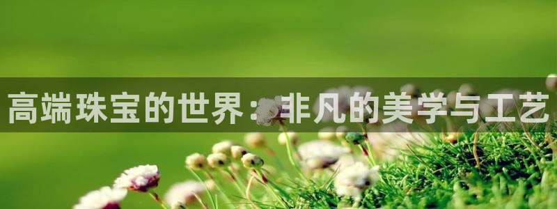 天宏娱乐指尖自