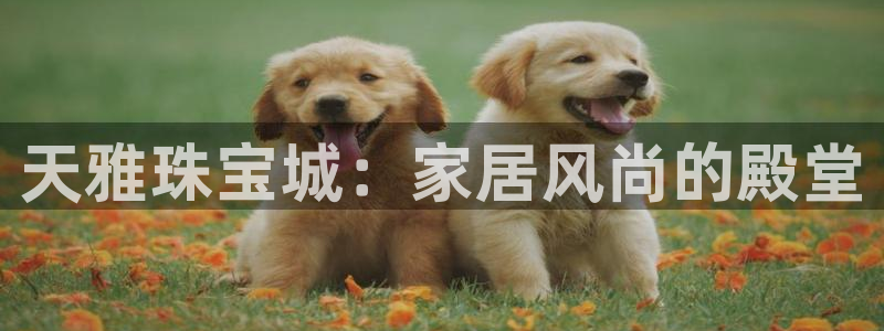 天宏娱乐李叔：天雅珠宝城：家居风尚的殿堂