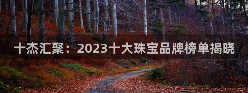 广州宏创天美娱乐文化：十杰汇聚：2023十大珠宝品牌榜单揭晓