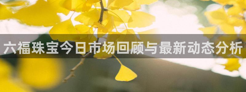 天宏娱乐的老板是谁：六福珠宝今日市场回顾与最新动态分析