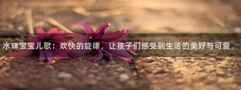 天宏娱乐石叔简介