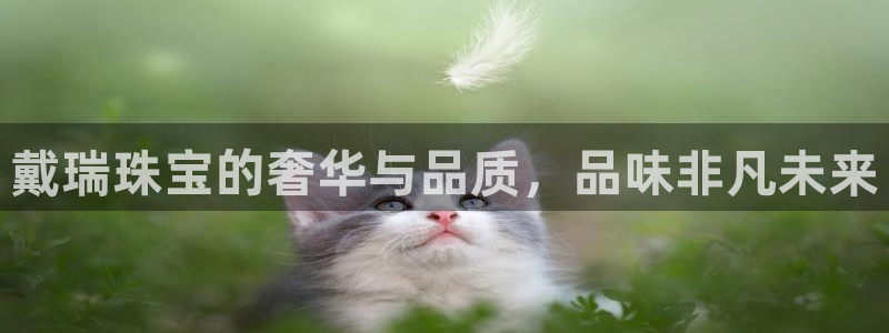 天宏娱乐国际会所：戴瑞珠宝的奢华与品质，品味非凡未来