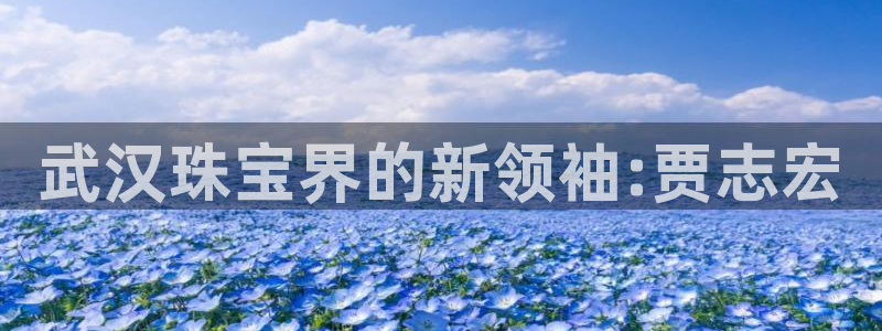 天宏娱乐32937股东