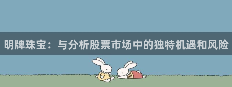天宏娱乐朱俊伟：明牌珠宝：与分析股票市场中的独特机遇和风险