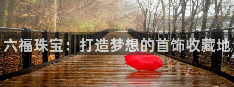 天宏娱乐老板