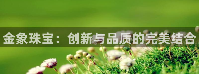 天宏娱乐平叔：金象珠宝：创新与品质的完美结合