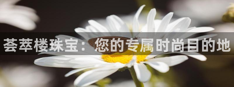 天宏娱乐怎样赚钱的：荟萃楼珠宝：您的专属时尚目的地