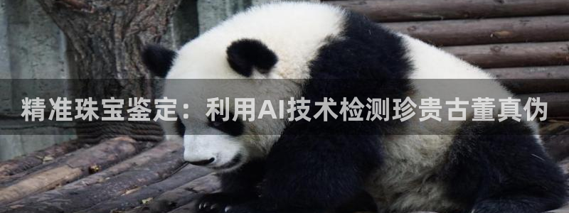 天宏娱乐杨叔：精准珠宝鉴定：利用AI技术检测珍贵古董真伪