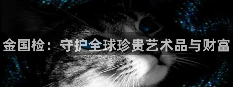 扬州天宏娱乐公司：金国检：守护全球珍贵艺术品与财富