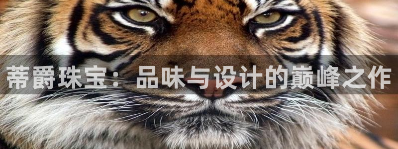天宏娱乐是干嘛的公司：蒂爵珠宝：品味与设计的巅峰之作