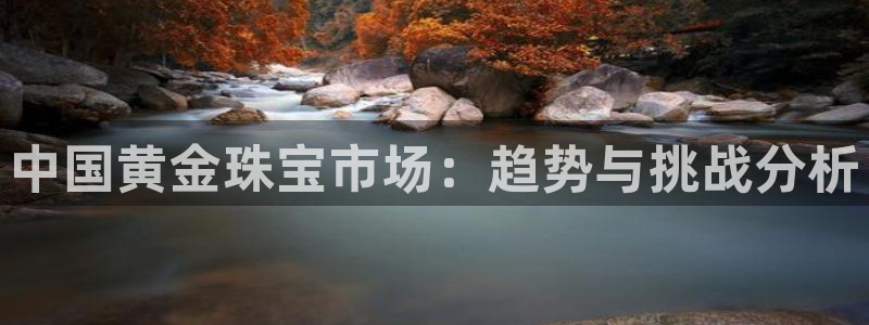 天宏娱乐 老刘