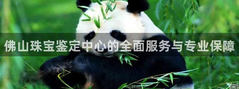 天宏娱乐丨金手指17：佛山珠宝鉴定中心的全面服务与专业保障