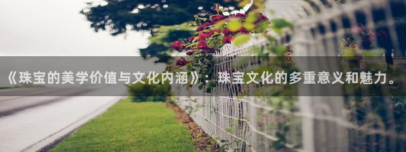 天宏娱乐石叔是谁：《珠宝的美学价值与文化内涵》：珠宝文化的多