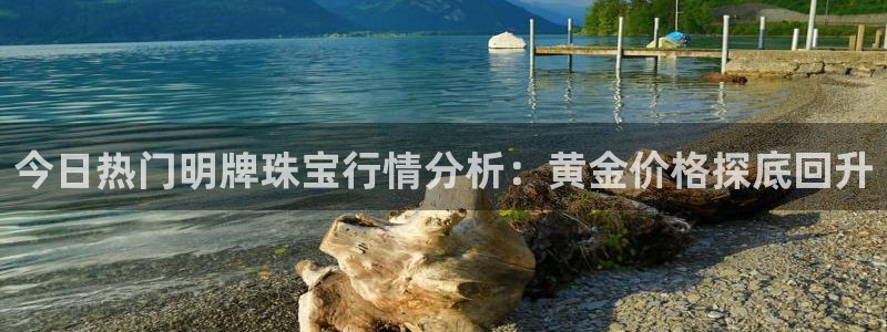 天宏娱乐君叔：今日热门明牌珠宝行情分析：黄金价格探底回升