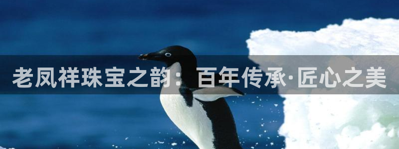 天宏娱乐钟叔